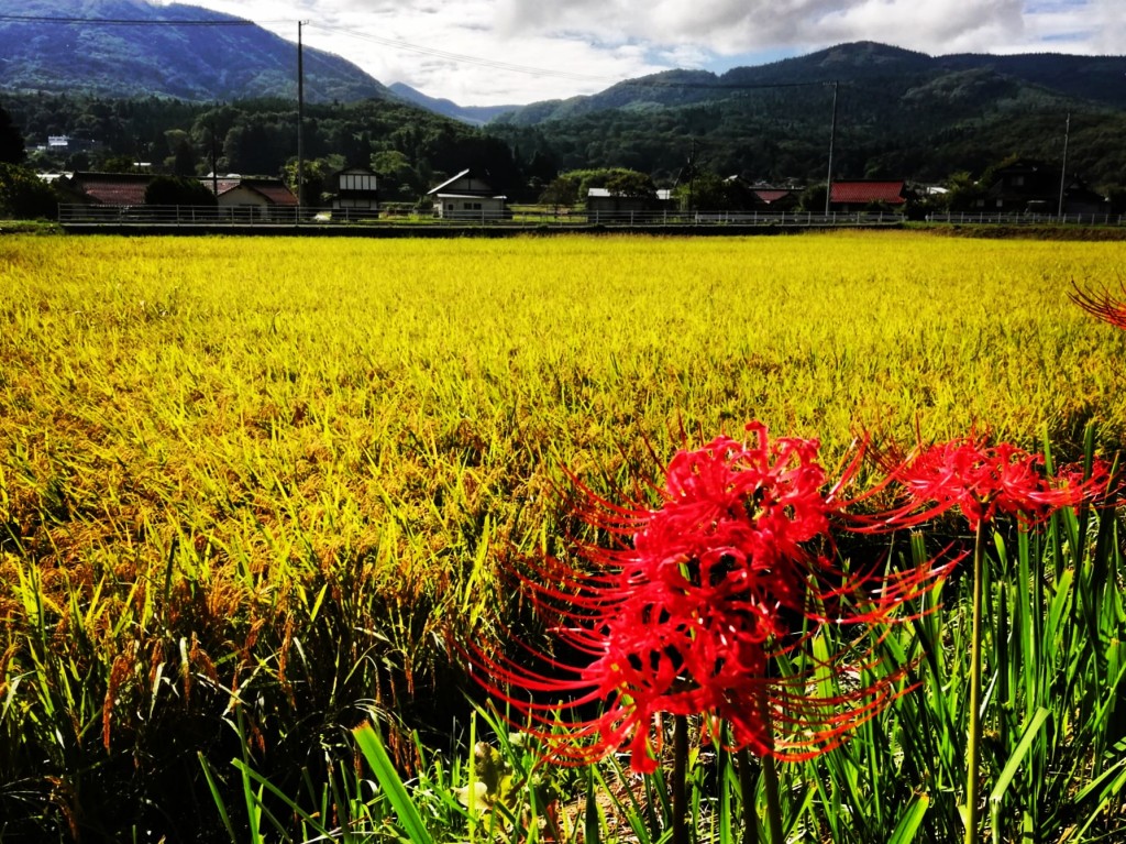 IMG_20210919_204739_132